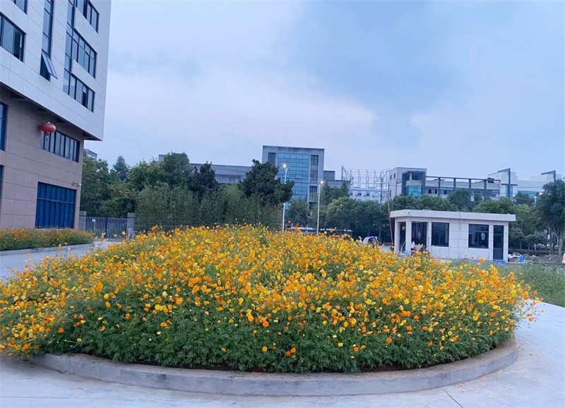 企业环境